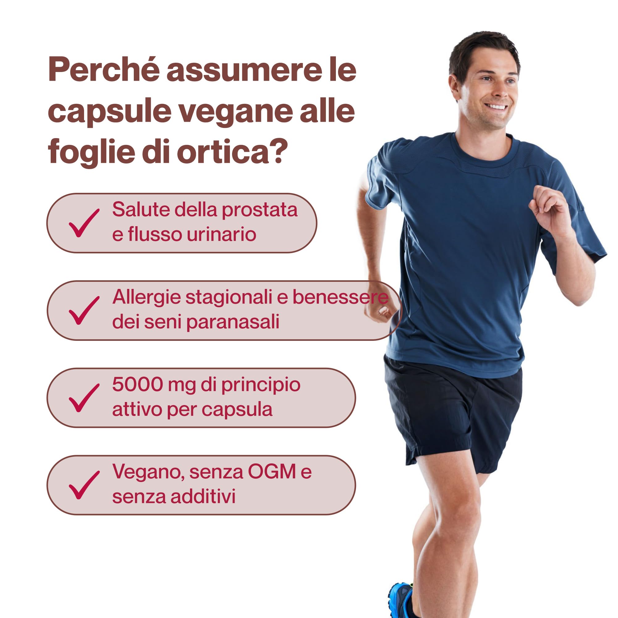 Hepatica Foglia di Ortica 5.000 mg Equivalente | Estratto Concentrato 10:1 da 500 mg | 120 Capsule Vegane | Scorta 4 Mesi | GMP & laboratorio indipendente