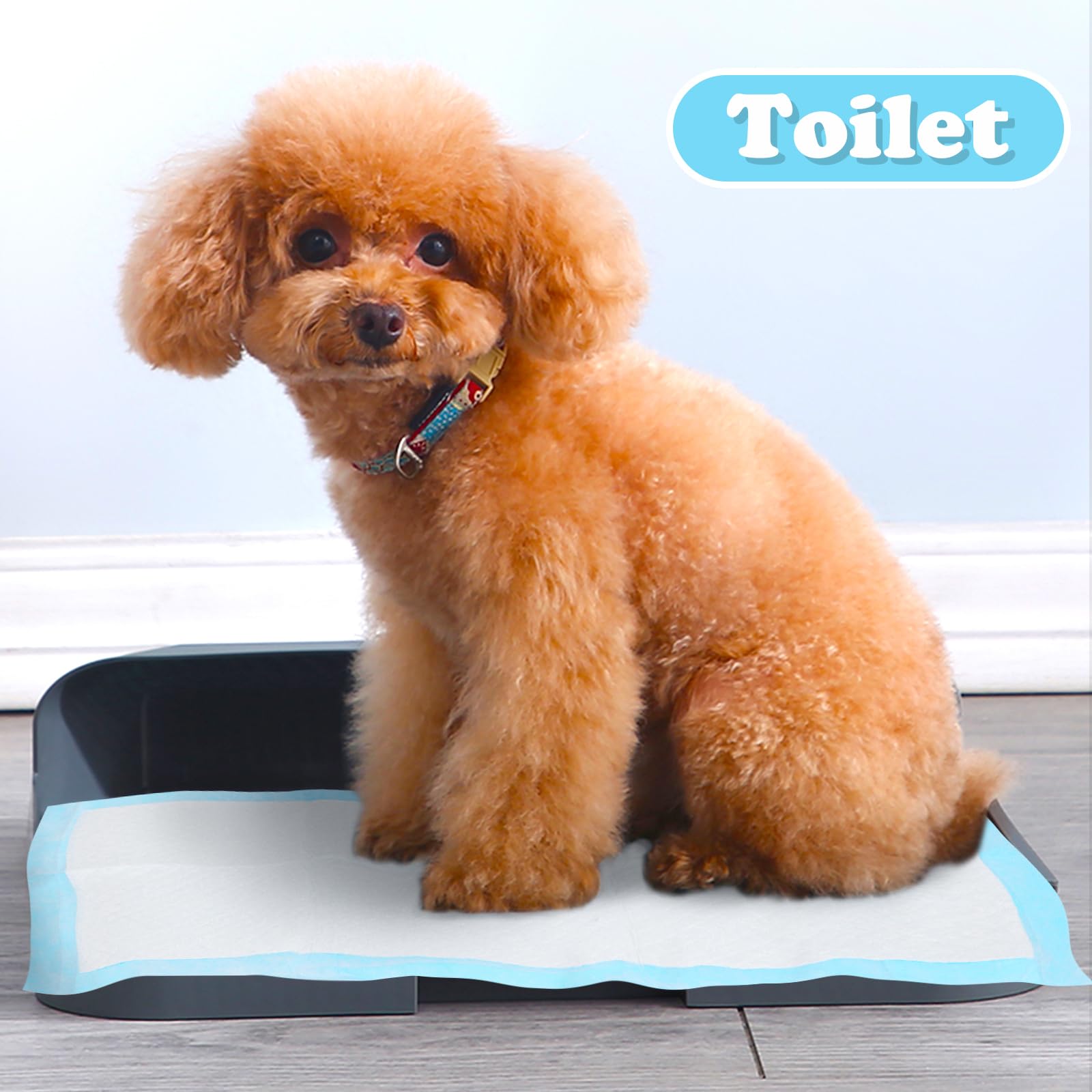Nobleza - 120 x Empapadores Perros Alfombrilla higiénica de Entrenamiento para Perros. Ultraabsorbente 90cm*60cm