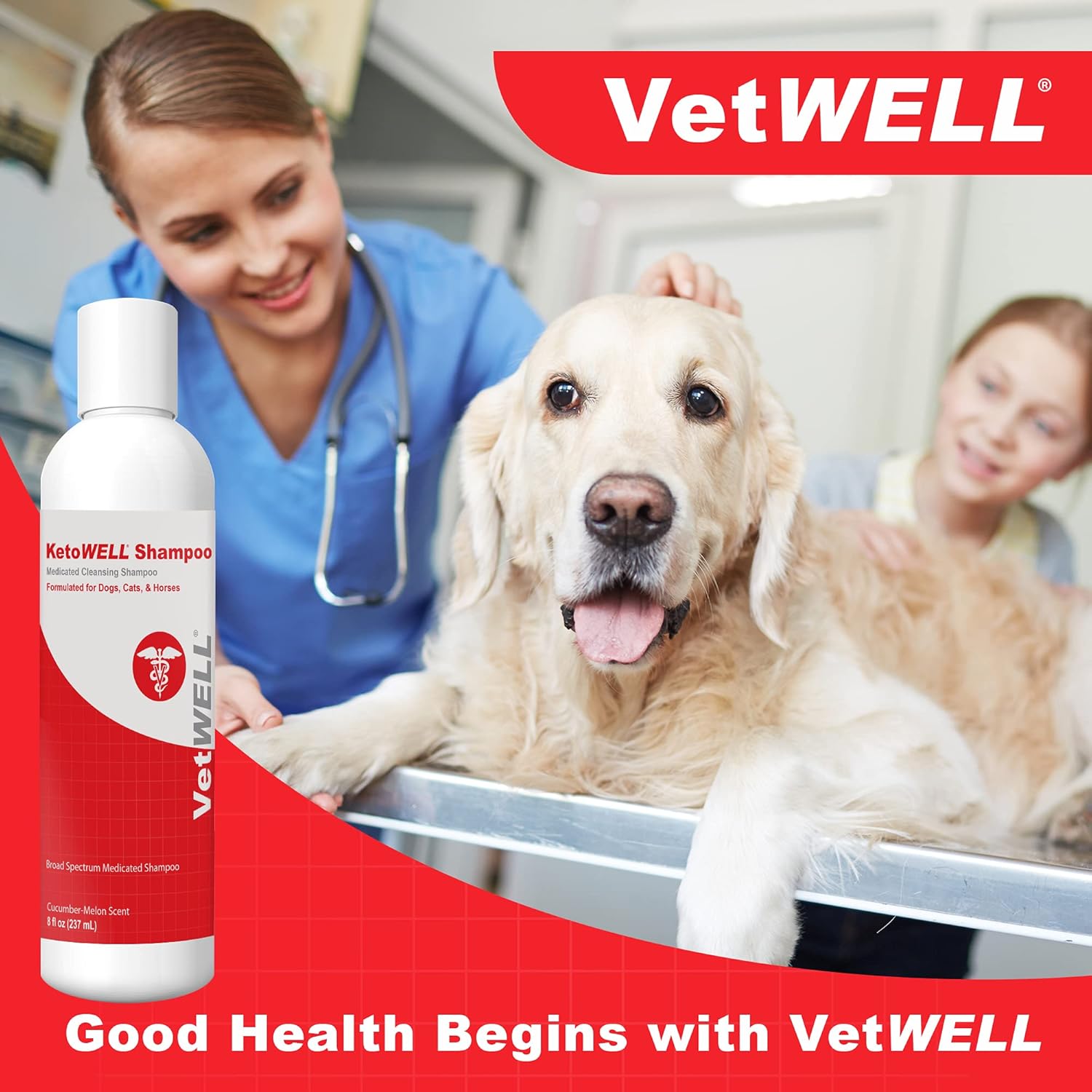 Can You Use Ketoconazole Shampoo On Dogs