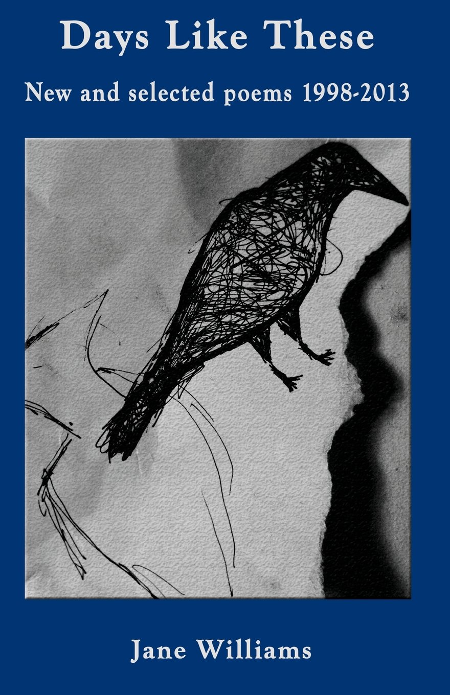 Buy Days Like These: New and Selected Poems 1998-2013 — BookShops.in