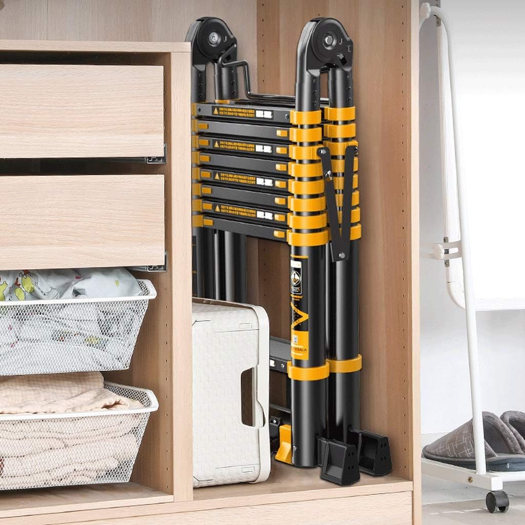 矢島俊一、【裸婦2人】、希少な額装用画集より、新品額装付