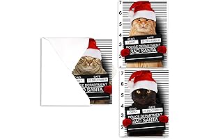 Purrpetrator Santa Cats Holiday Card Assortment Pack: 24 Xmas Cards Featuring Adorable Holiday Felines