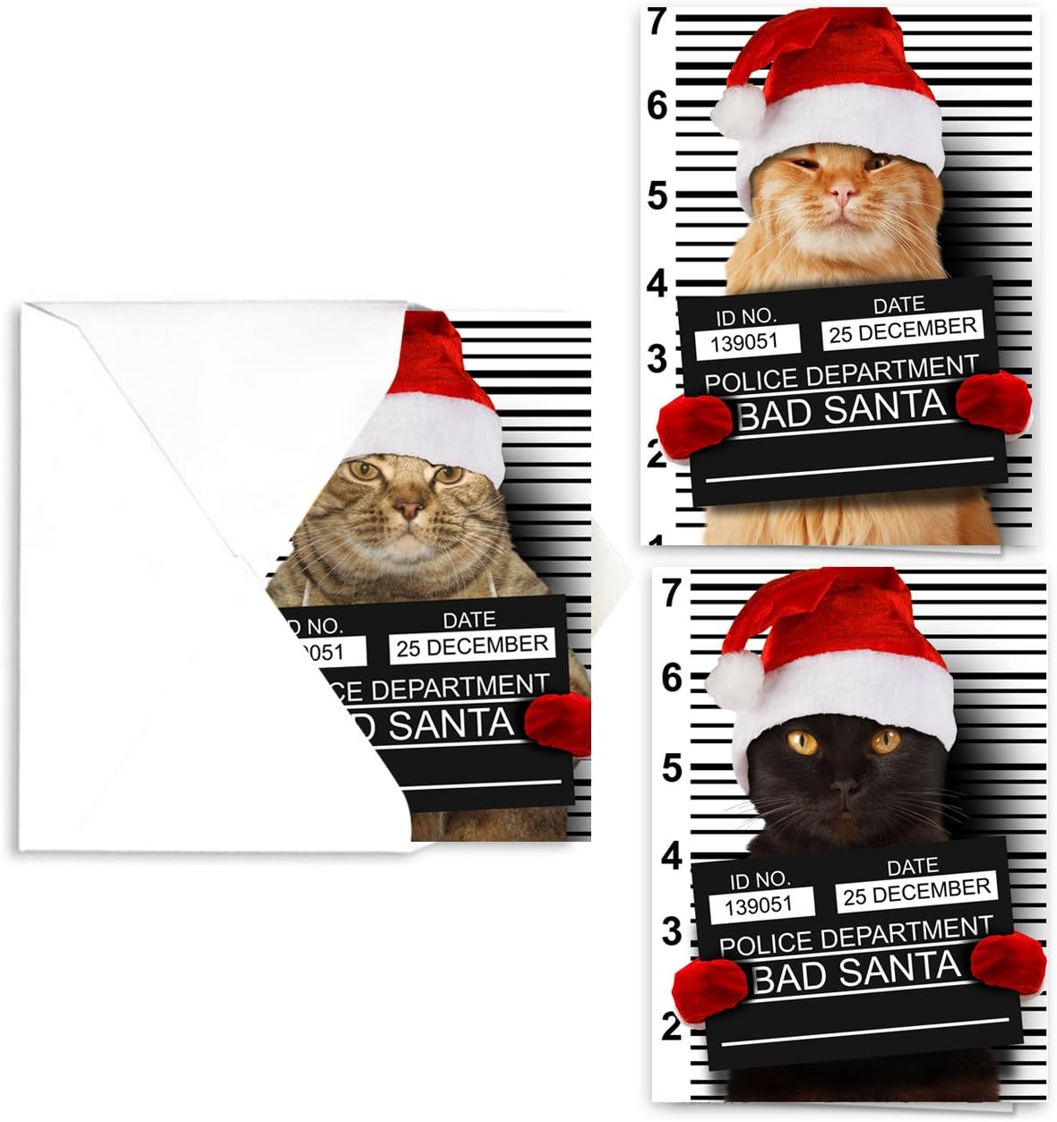 Canopy Street Purrpetrator Santa Cats Holiday Card Assortment Pack / 24 Christmas Cats Greeting Cards and Envelopes / 3 Bad Santa Kitten Designs With Message Inside
