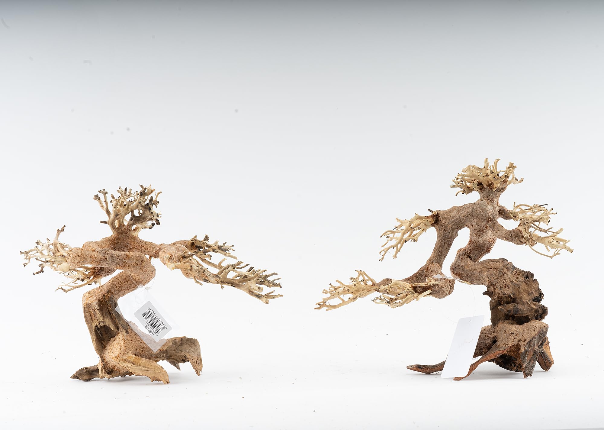 NatureHolic Bonsái forestal | Raíz de madera real | Decoración de acuario de madera | Para acuario y terrario | Tamaño: M