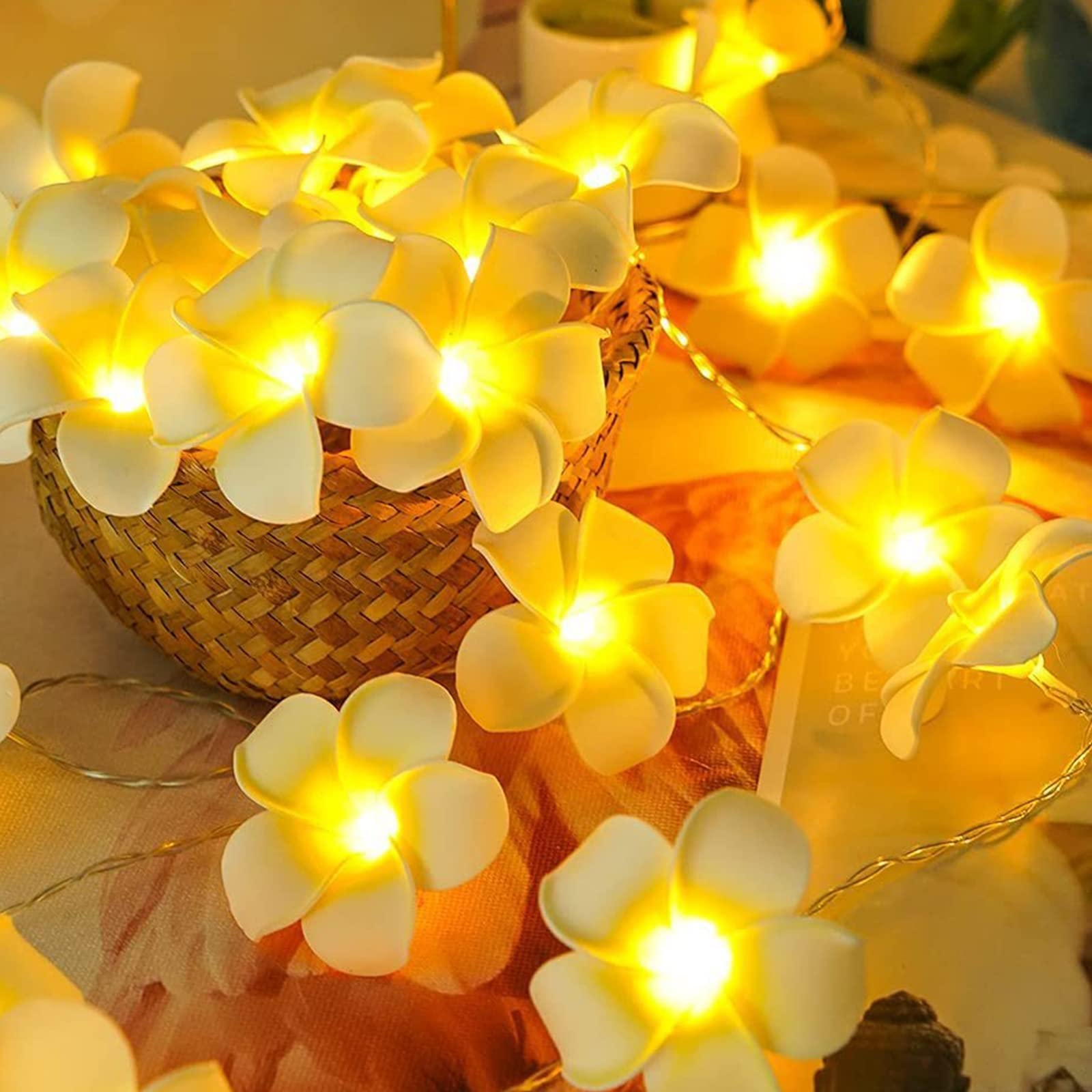 UCHUANG String Lights Battery Powered 6m 40leds Fairy Twinkle Frangipani Decorative lights Waterproof Hanging Artificial Plumeria Flower lights for Indoor Outdoor Wedding Party Yard Fence (Warm White)