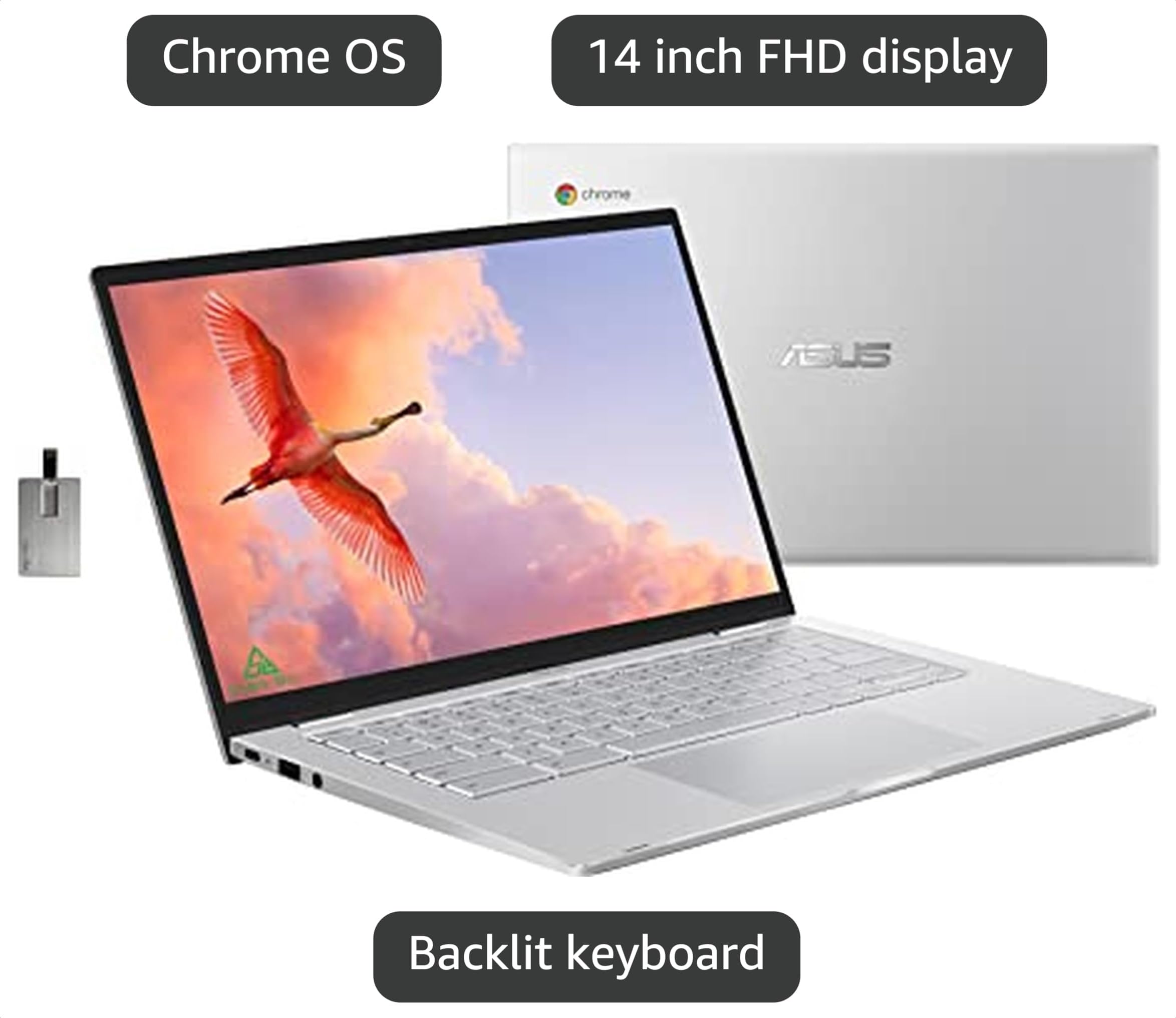 Amazon.com: ASUS 2022 14