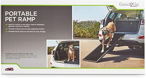 large standard poodle