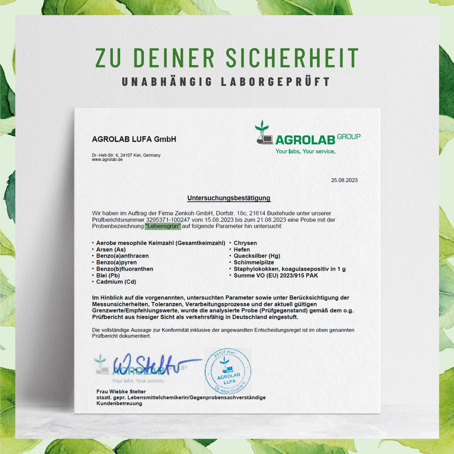 Lebensgrün Chlorophyll flüssig aus Alfalfa - 50ml - 200mg liquid Chlorophyll je Tagesdosis - Tropfen als Alternative zu Tabletten, Vegan