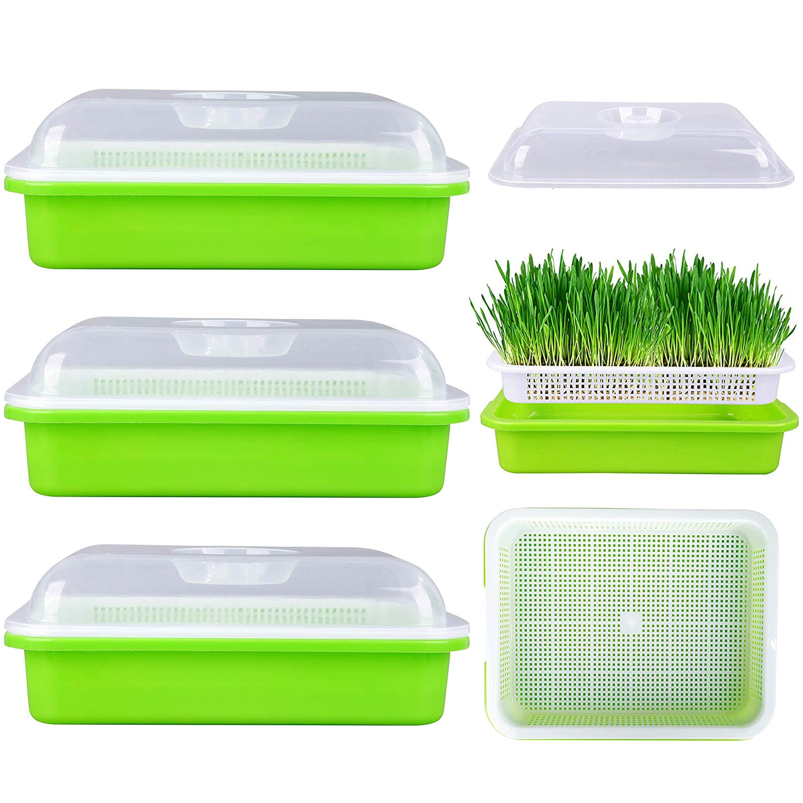 Buy Seed Sprouter Tray,Seed Starter Trays,soilless Hydroponic Growing