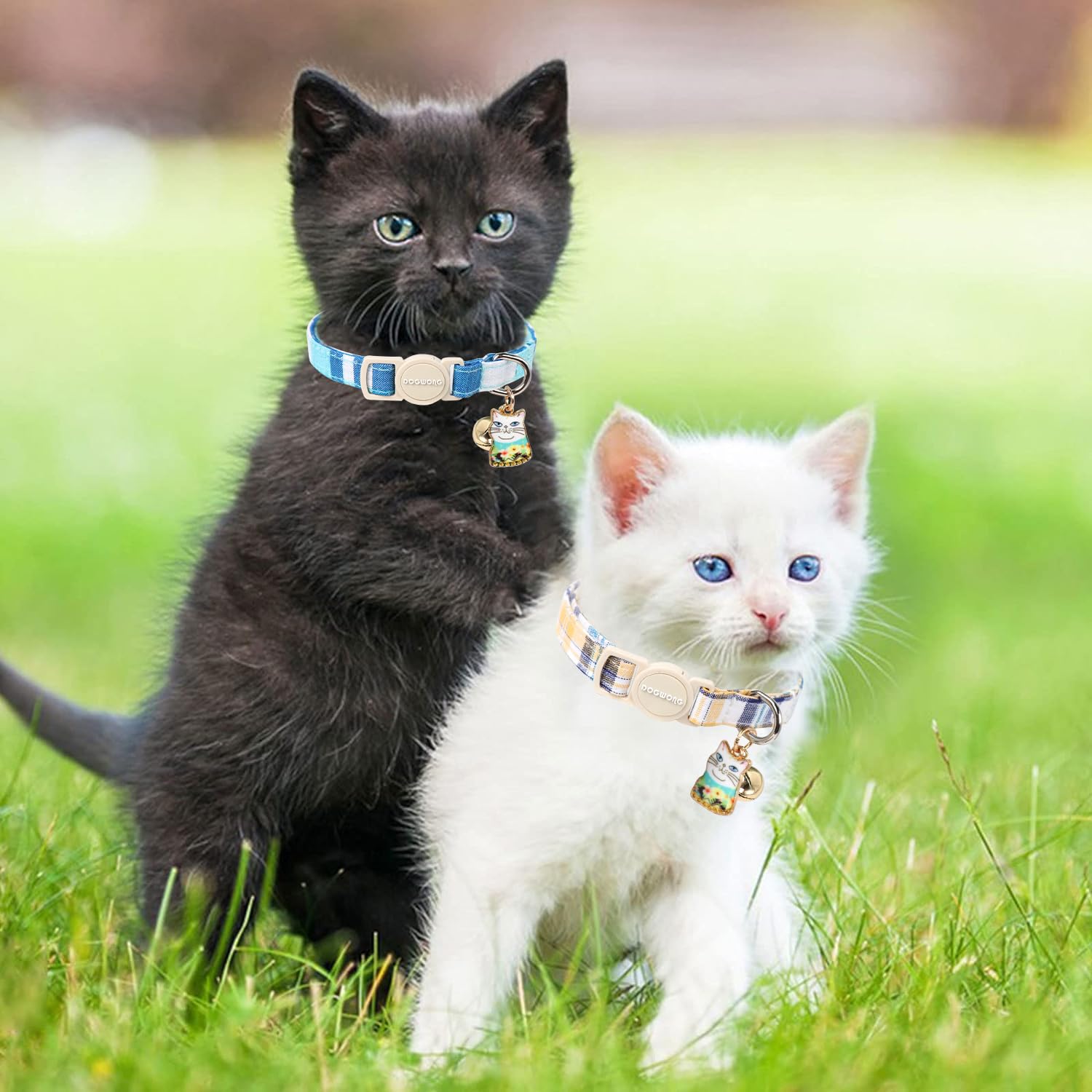 Collar para gato, paquete de 2 collares de gato a cuadros azules con campana, collar de gato con hebilla de seguridad DOGWONG para niñas, niños, gatos y perros pequeños, collar ajustable para gatitos