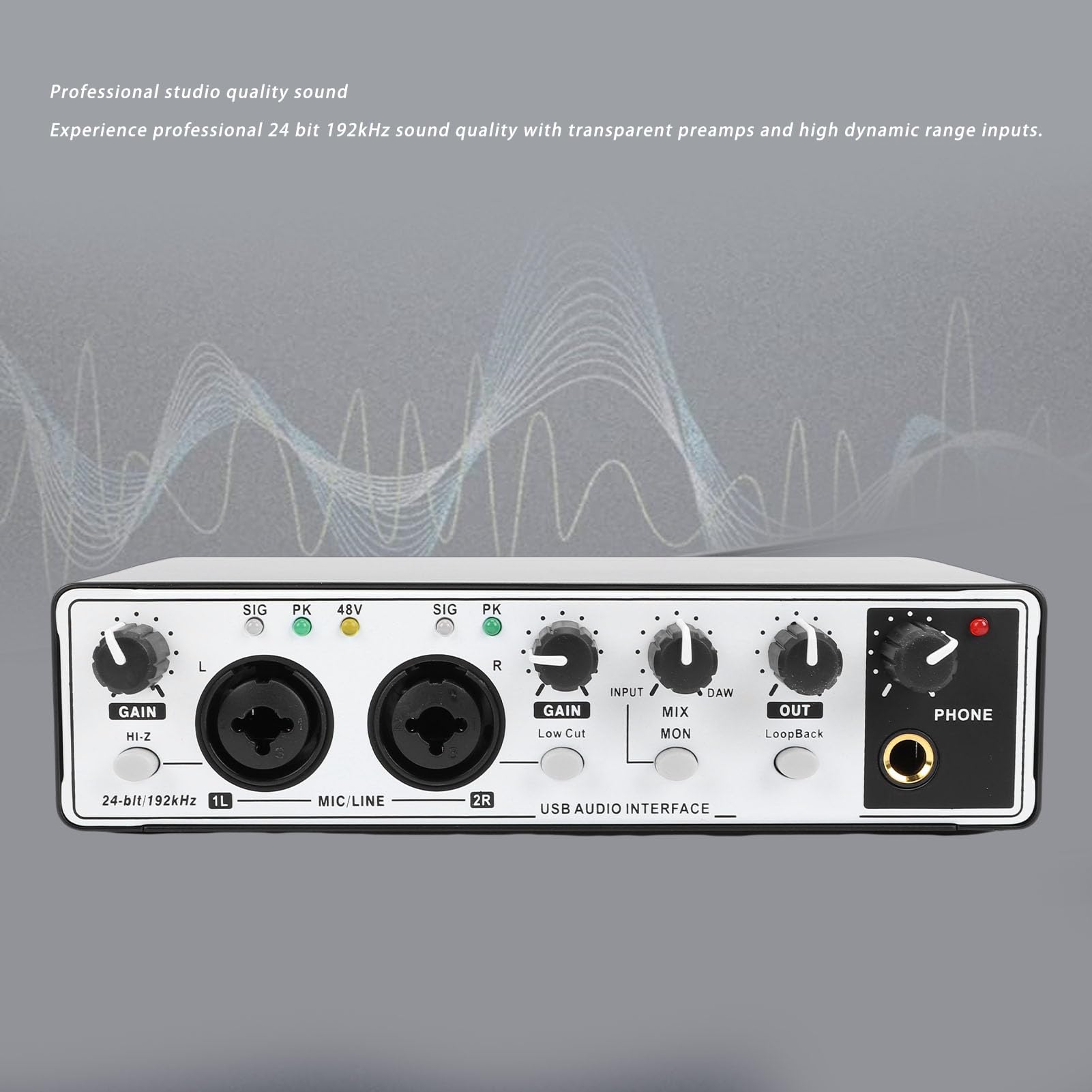 Annadue Interfaz de Audio USB C para Grabación, Streaming y Podcasting con 2 Entradas XLR/TRS, 24 Bits/192 KHz, Alimentación Fantasma de 48 V (blanco negro)