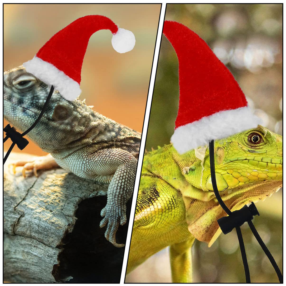SUPVOX 5sets Accessori Per Rettili Guinzaglio Per Lucertole Cappello e Sciarpa Kit Per Festive e Decorazioni Domestici