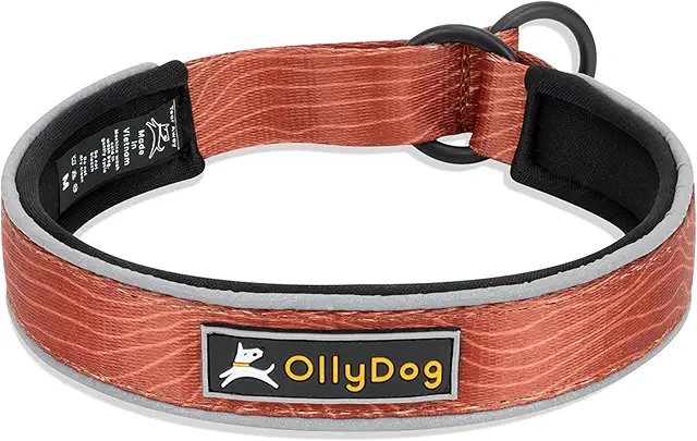 OllyDog Martingale Halsband - Reflektierend, gepolstert für aktive Hunde (Groß)