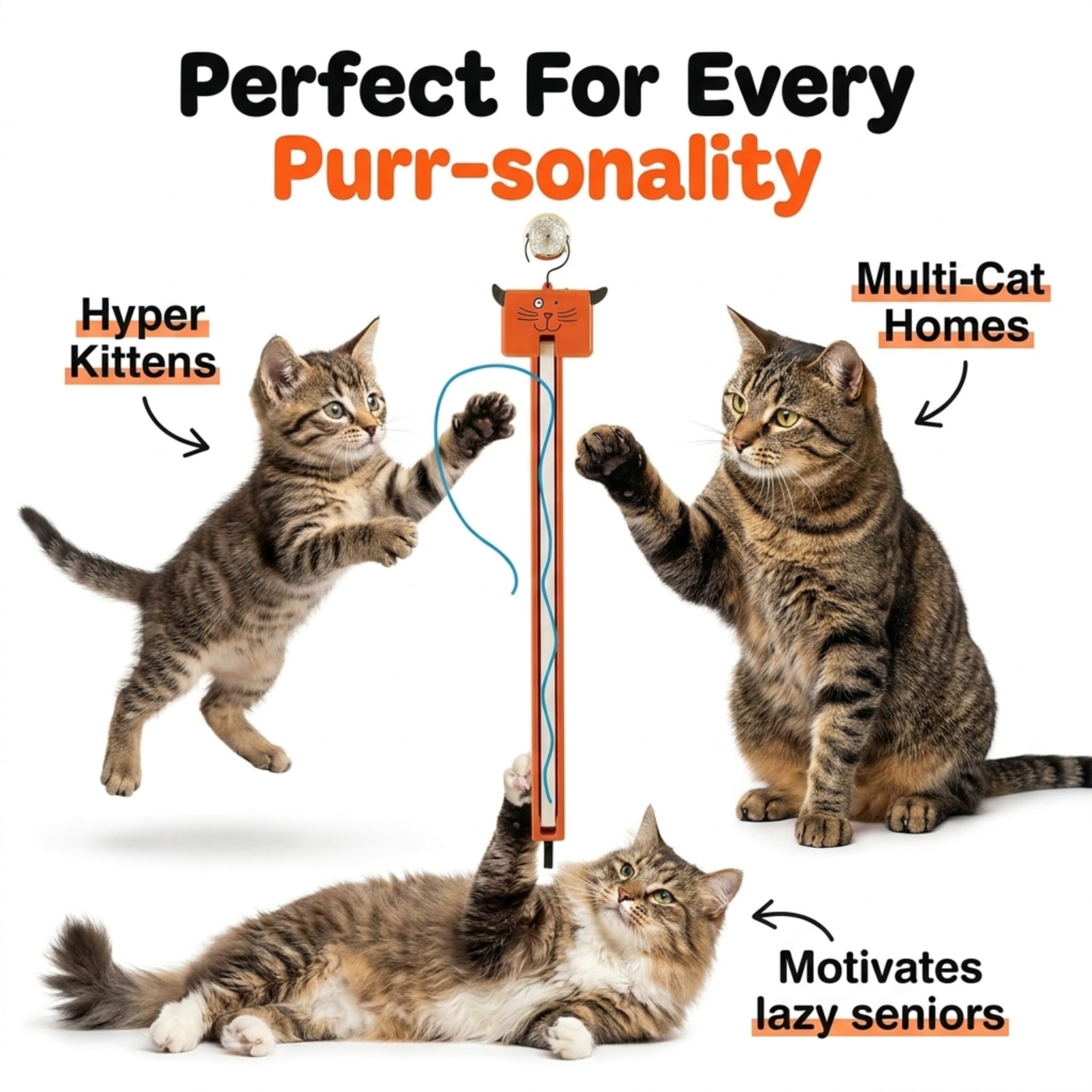 Moody Pet Fling-AMA-String Katzenspielzeug