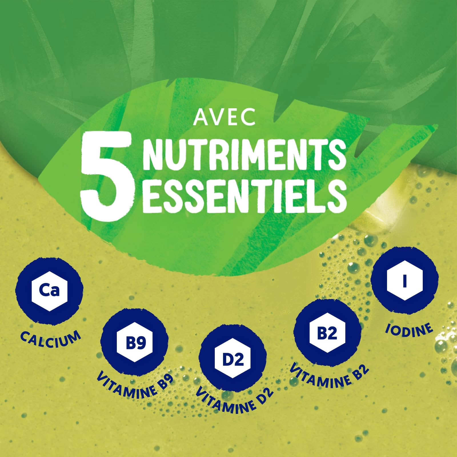 Alpro - Boisson Végétale - Matcha Coco - 1L - Lot de 8x1L