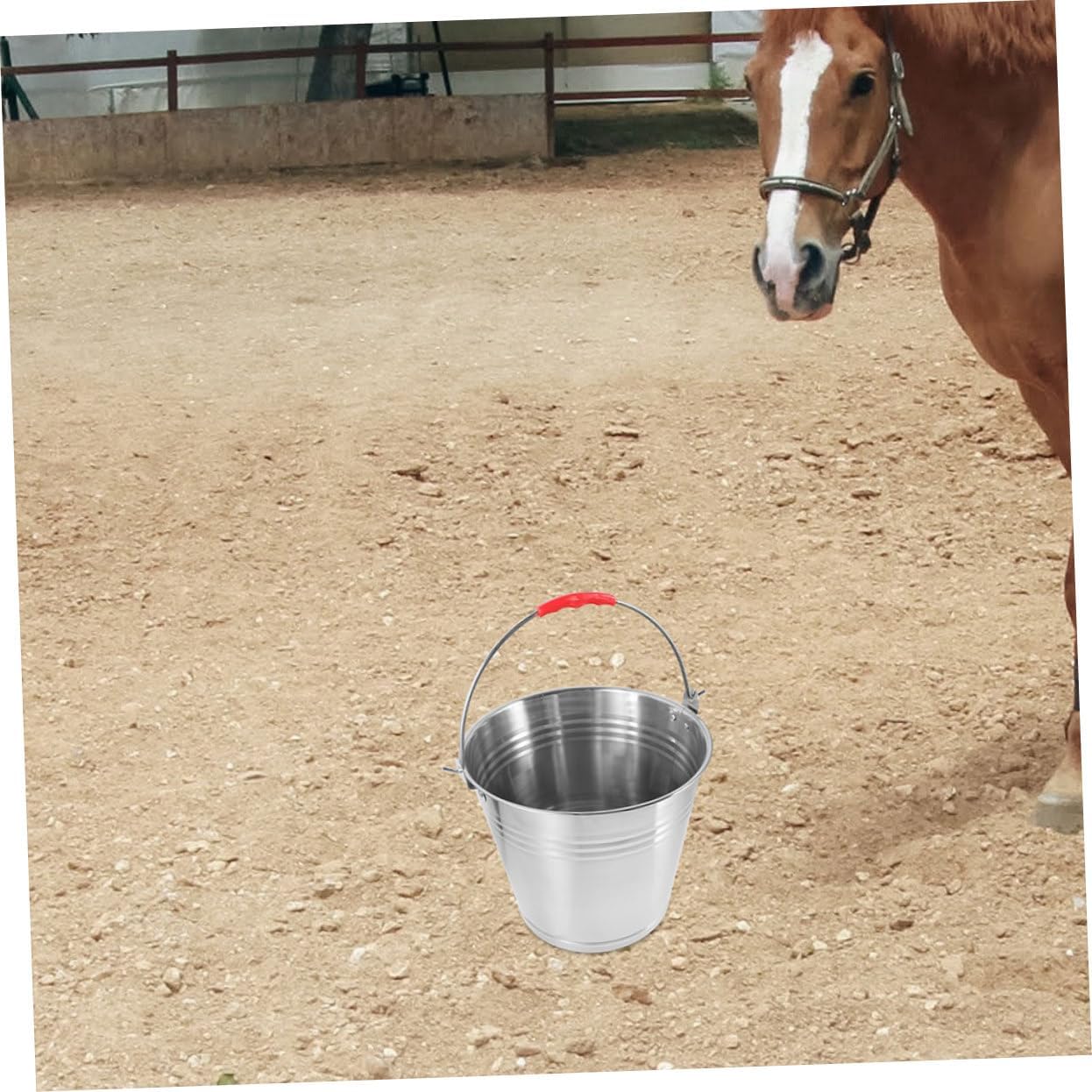 Toyvian 10L Stainless Steel Feed Bucket Handle Equine Water Bucket Sturdy Farm Feeding and Watering Solution