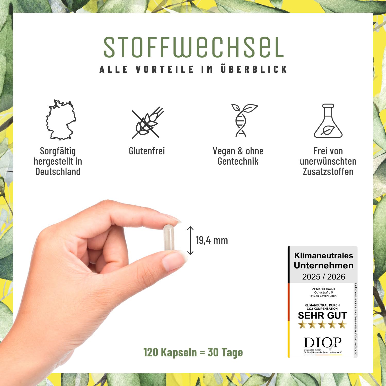 NATURTREU® Stoffwechsel Kapseln Diät Unterstützung - Hochdosiert mit Grünem Tee, Forskohlii, Cholin, Spargel, Bittermelone, Garcinia Cambogia & Chrom - 120 Stoffwechsel Kapseln vegan