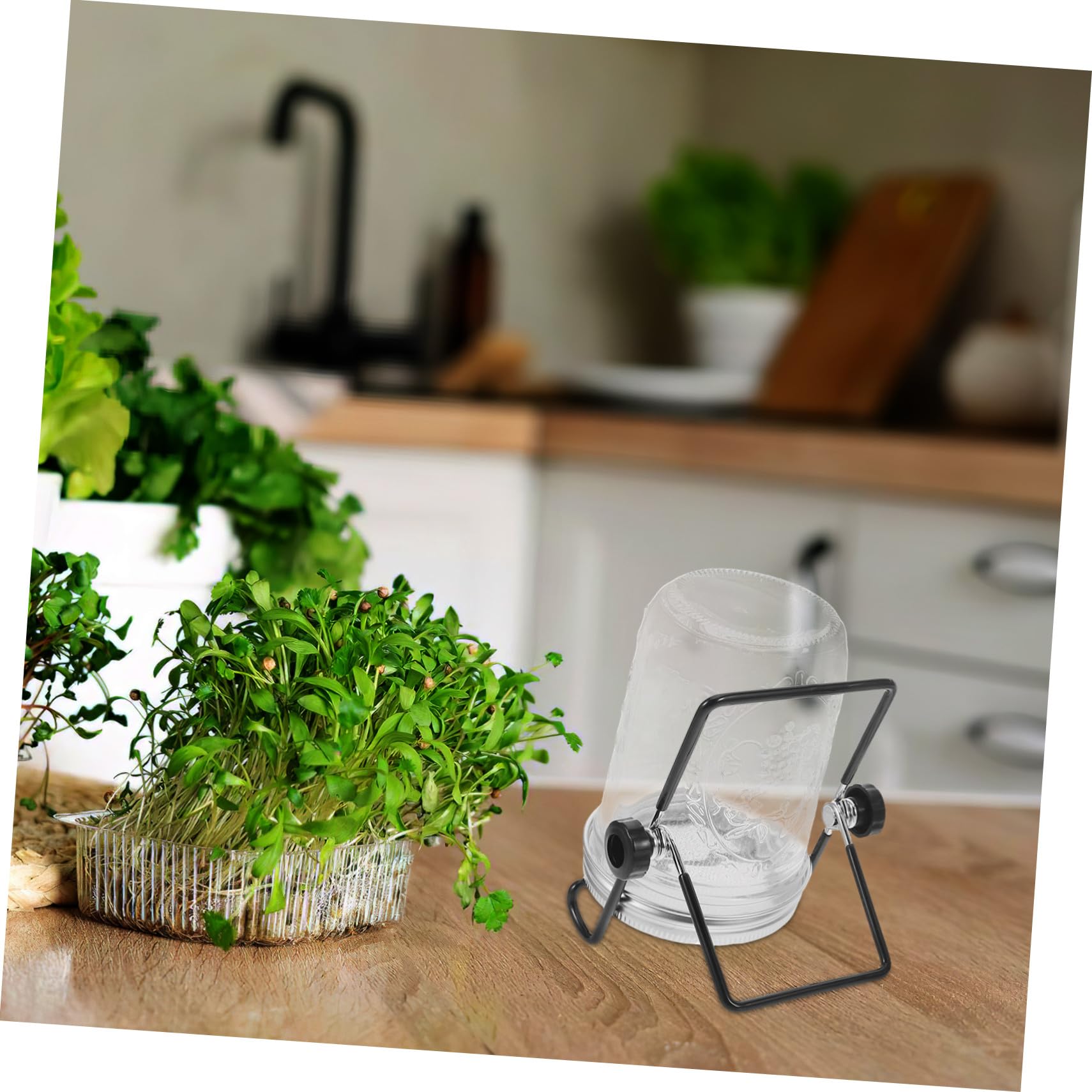 Hemobllo 2 Juegos Kit de Germinación con Frascos Tapas Colador de Acero Inoxidable Soporte para Brotes Microgreens y Semillas para Cultivo Rápido Casa y Fiestas