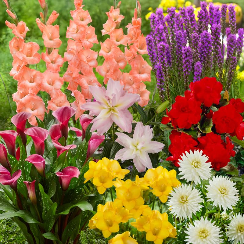 Willard and May Potluck Planting Box