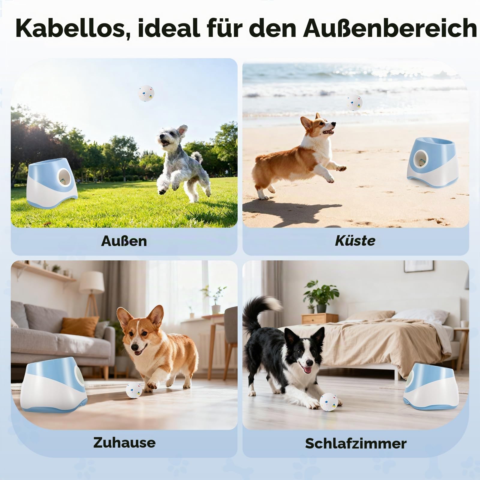 Ballwurfmaschine für Hunde,Mit 6 Tennisbälle,3 Distanzstufen