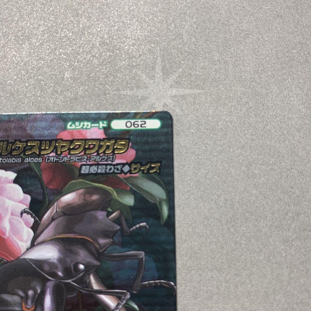 人気バージョン 5周年コレクション アルケスツヤクワガタ ムシキング