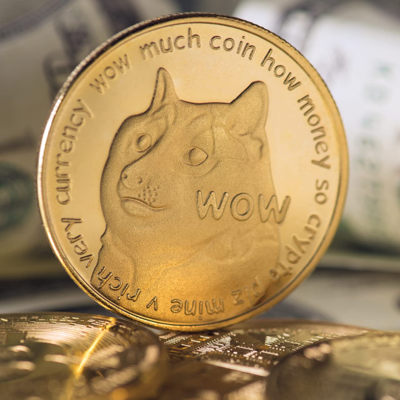 Dogecoin Gold Collectible Coin | 1PC Cryptocollect Cryptocurrency Coin |  Secured in Hard Shell Casing | Blockchain Based Gifts for Technology &  Crypto Enthusiasts : Amazon.co.uk: Toys & Games
