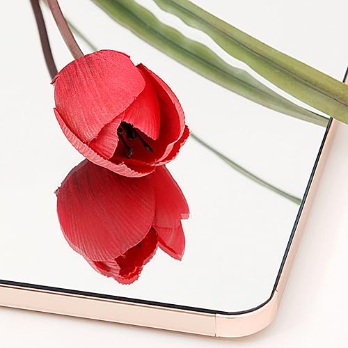 Miniatura 4 de QQXX Espejo extraíble invisible de longitud completa espejo telescópico giratorio deslizante soporte de pie montado en la pared para armario 31 x 16