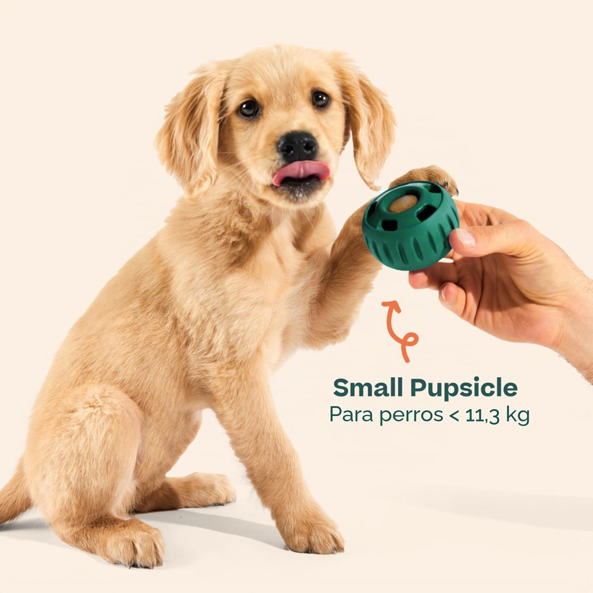Woof Pupsicle, Juguete de Larga duración para Mantener a tu Cachorro distraído, Seguro para Perros, fácil de Limpiar, Juguetes rellenables para Perros, pequeño de 10 a 25 Libras
