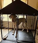 Review Image by Kristy Watson