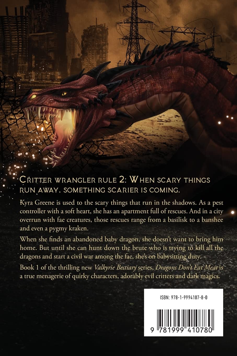 Dragons Don T Eat Meat 1 Valkyrie Bestiary Amazon Co Uk Mcdougall Kim Books
