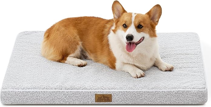 COZY KISS Orthopädisches Hundebett für große Hunde, Abnehmbarer Waschbarer Bezug mit wasserdichtem Futter und Rutschfester Unterseite, Größe L, 91 x 68 x 7, 6 cm, Grau