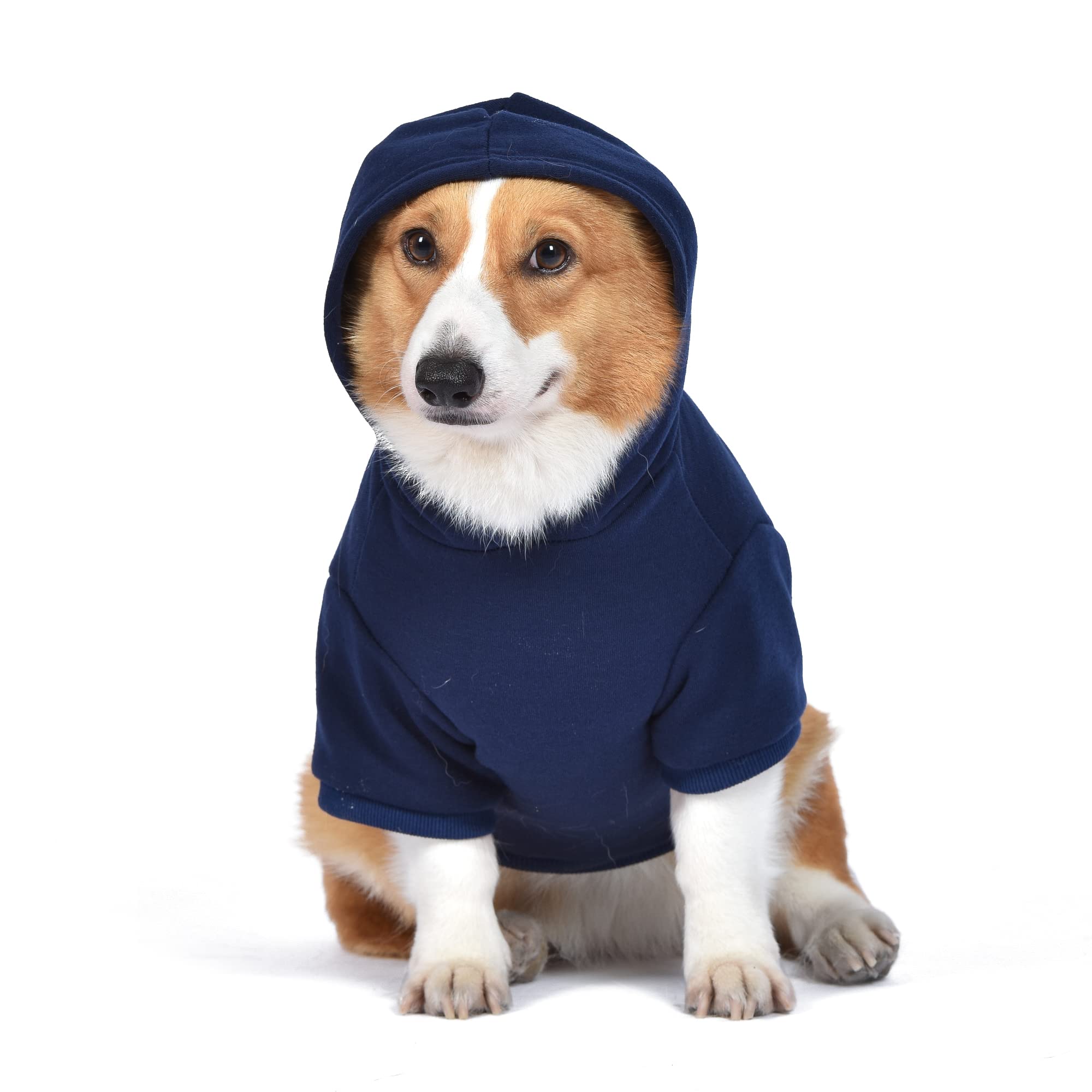 Amazon.co.jp: Star Wars for Pets マンダロリアン 