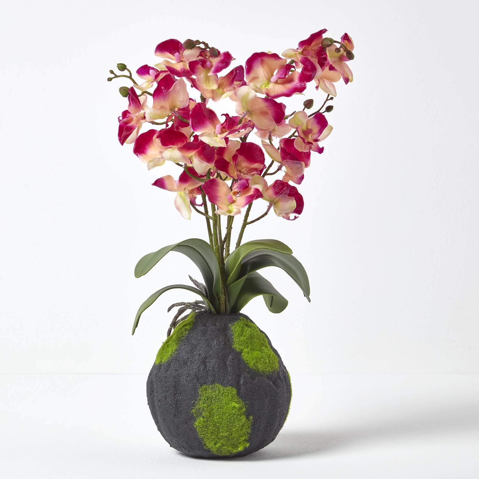 Homescapes Pink & Cream Artificial Orchid With Lifelike Silk Flowers And Realistic Green Leaves Two Tone Oriental Phalaenopsis Orchid Flower With Faux Moss Base 60Cm Tall For Indoor Decoration