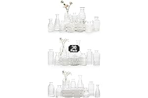 Glass Assorted Bud Vases Boast Elegance and Versatility for Floral Arrangements