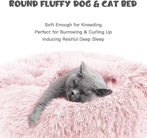 Miniatura 8 de Himax Camas para perros y gatos pequeños, cómodas camas para perros con manta adjunta, cama calmante antiansiedad esponjosa lavable (202635