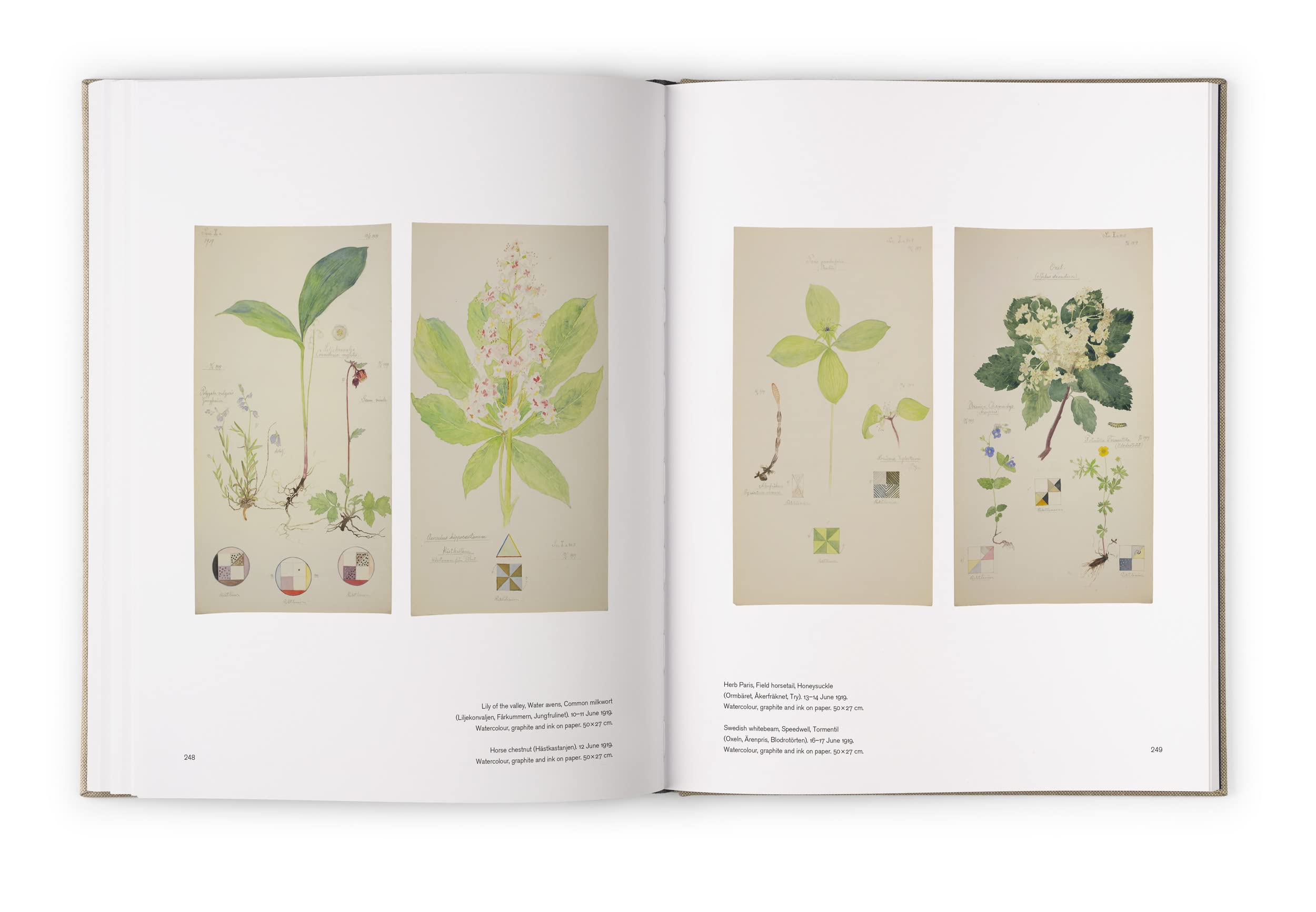 Hilma af Klint: The Landscapes, Portraits and Botanical Works (1886-1940) Catalogue RaisonnE volume