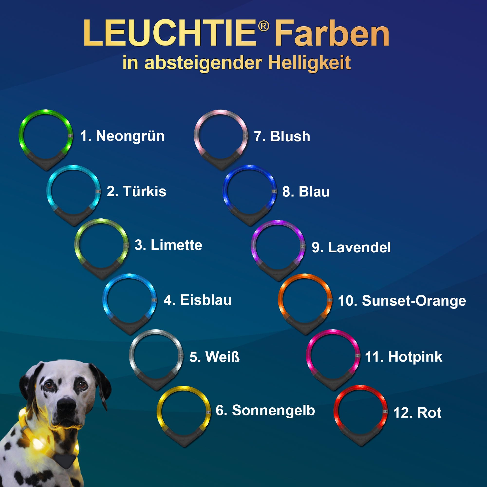 LEUCHTIE® Plus Leuchthalsband Hund batteriebetrieben, wasserdichtes LED Halsband, Hundehalsband Leuchtend mit 100 h Leuchtdauer, enorm hell, türkis Größe 50