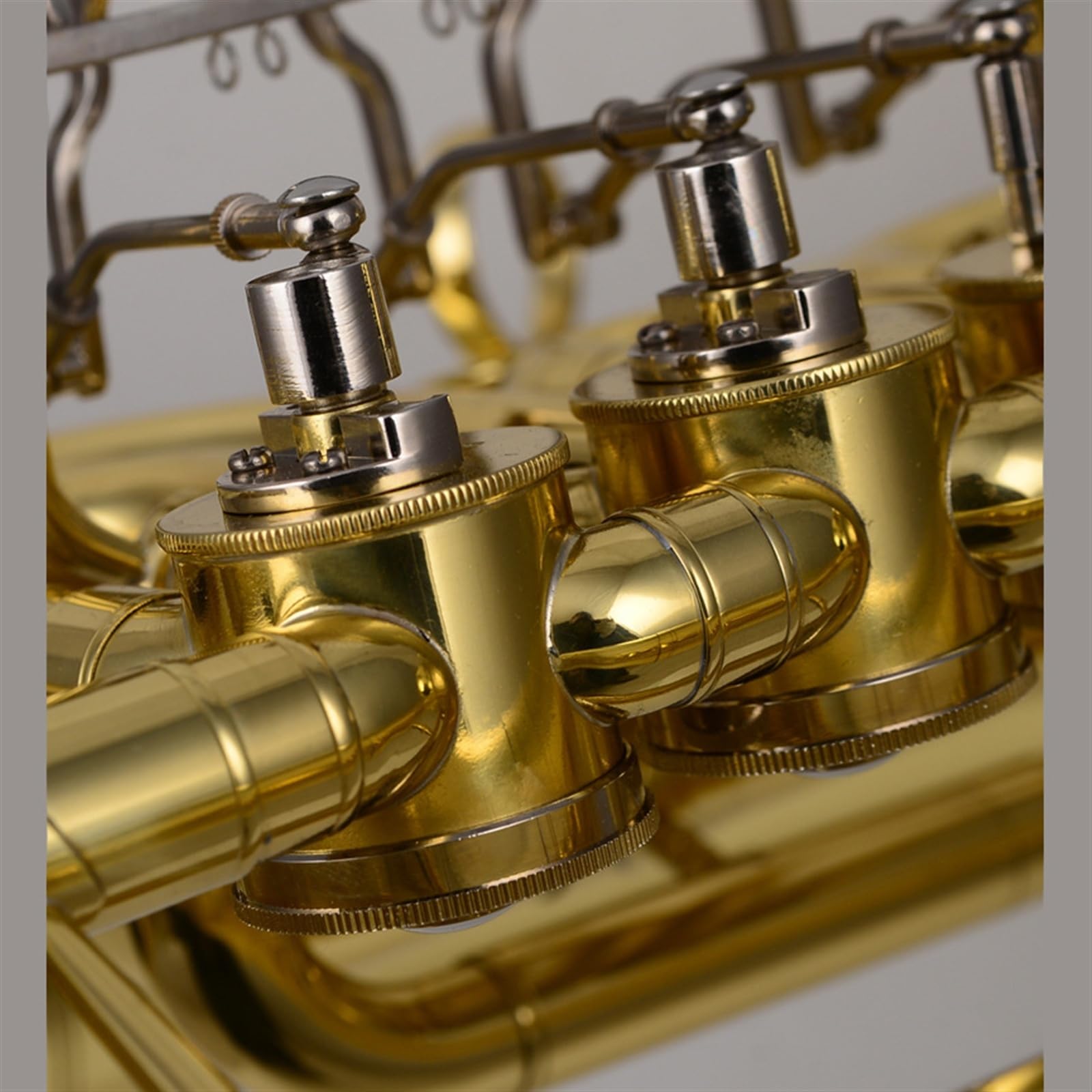 Messing Lackiertes, Goldfarbenes Bariton-Trompetenblasinstrument Mit 4 Flachen Klappen, Mundstück Und Zubehör Euphonium für Anfänger