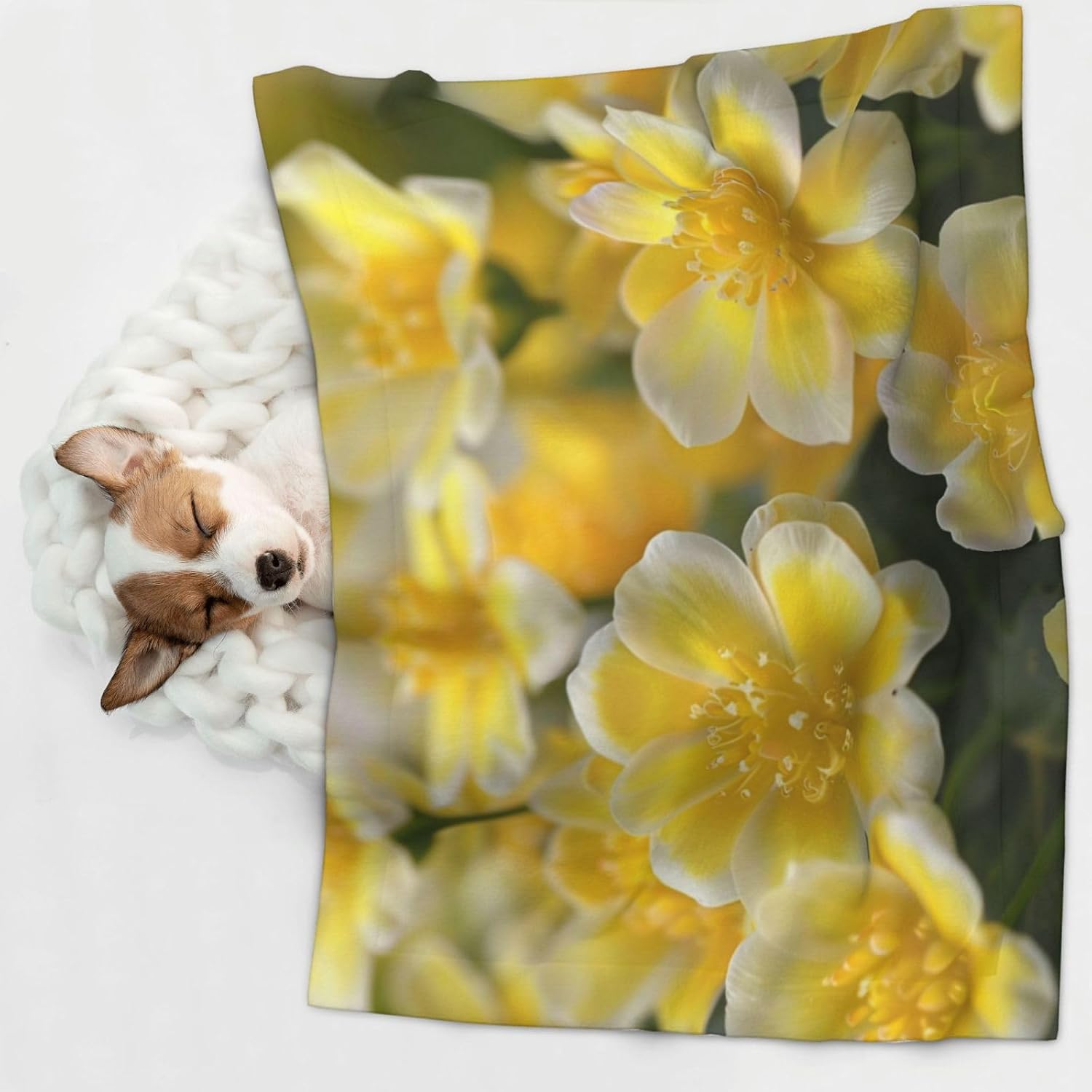 Flowers in The Park Pet Blanket for Dogs & Cats â€“ Soft Plush Dog Blankets for Small & Large Dogs, Couches, Beds, and Cars
