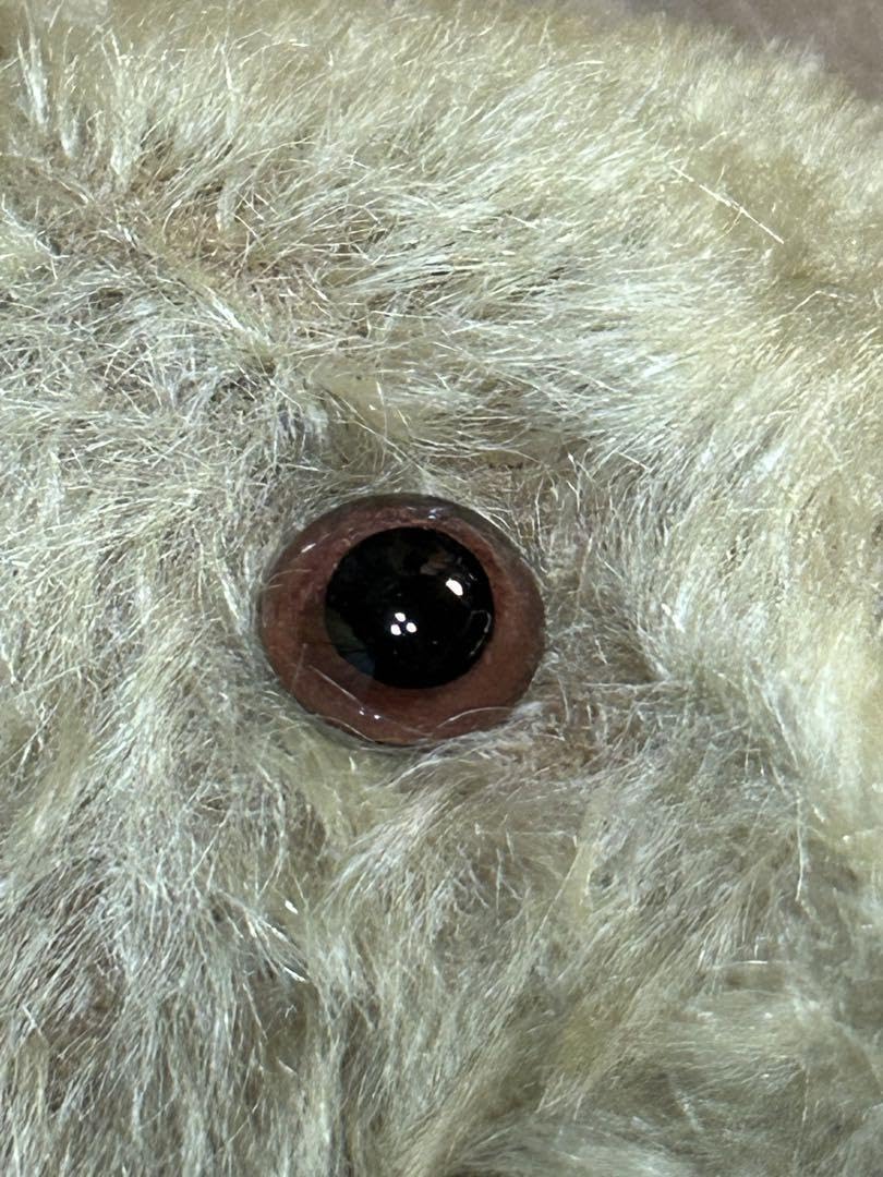 Amazon.co.jp: テディベア アンティークベア 33cm : おもちゃ