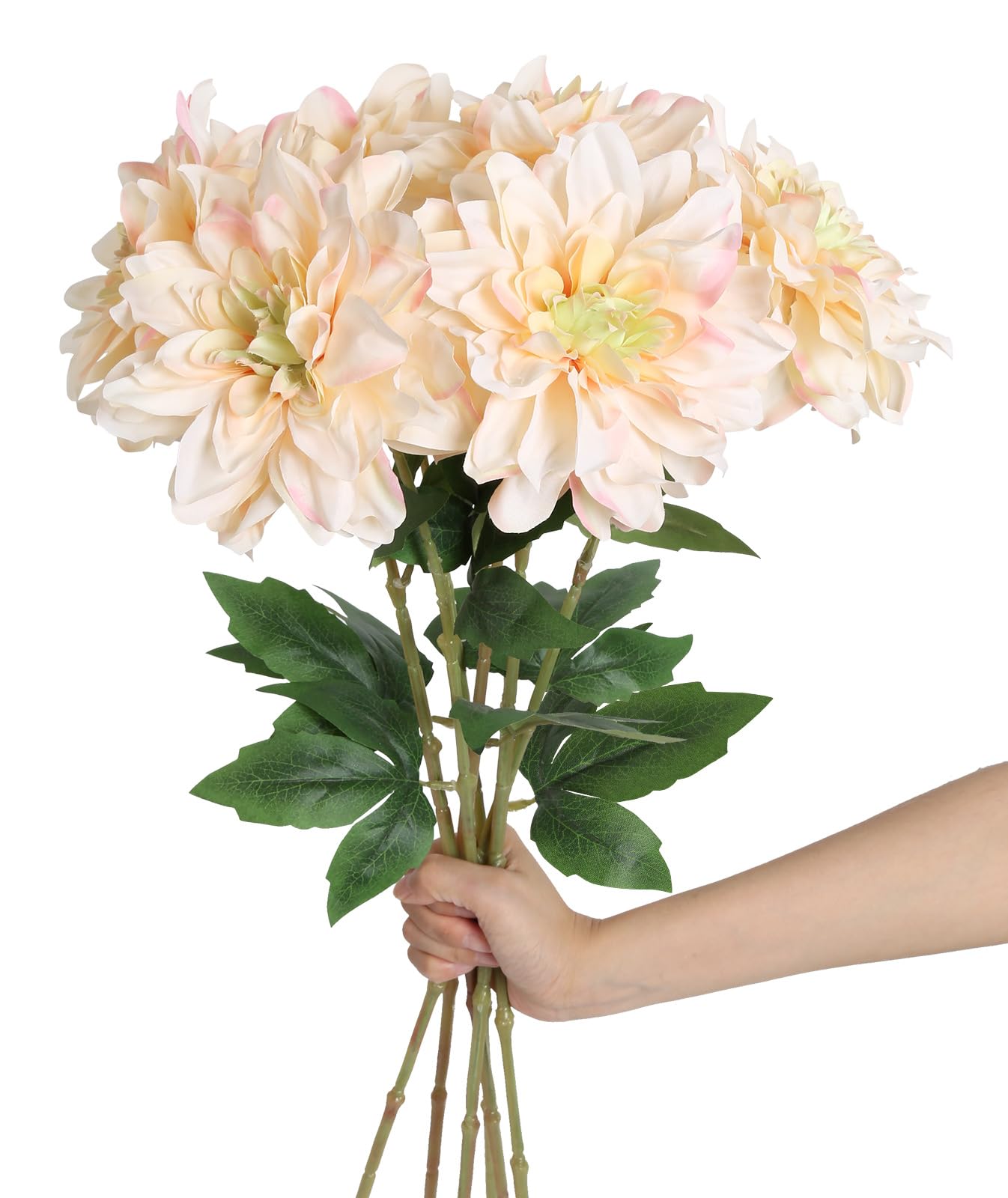 INSUNSIX 6PCS Champagne Flower 23.62 Artificial Dahlia Silk Flowers