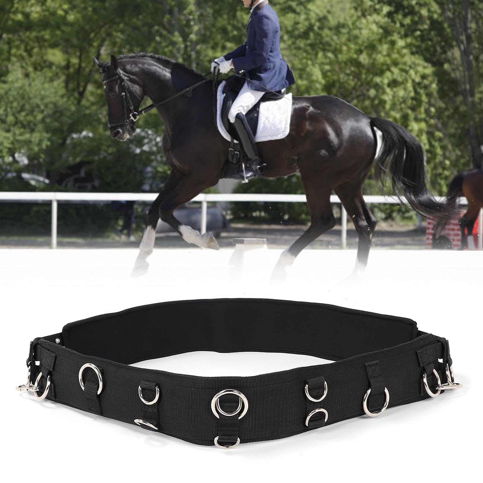 Horse Training Surcingle, Professional Adjustable Lunging Surcingle for Horse Conditioning, Breathable PP And SBR Material with Zinc Alloy Buckles for Equestrian Training