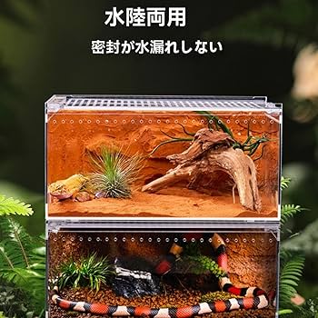 Amazon | レプタイルボックス 爬虫類 飼育ケース 虫かご 大 透明