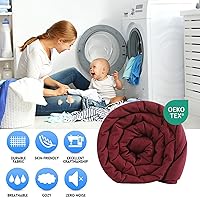 Vista 2 de EASELAND Edredón alternativo de plumón tamaño completo, relleno de edredón acolchado para todas las estaciones, suave y ligero con pestañas