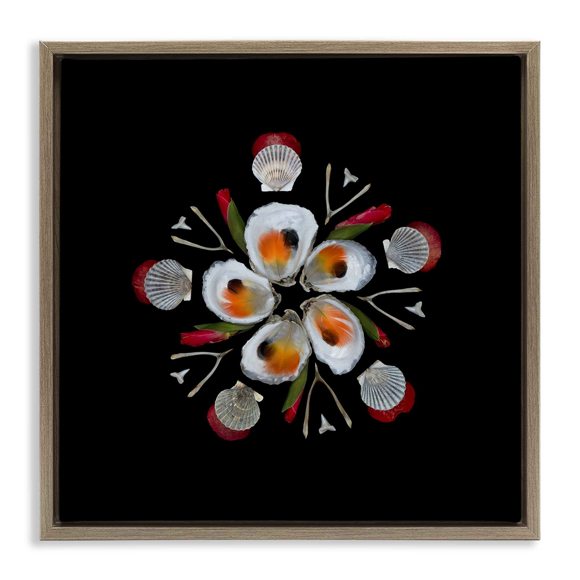 Stupell Industries Montalcino Elm (Textured) 'Nautical Oysters Mandala'| Floating Frame Canvas Art