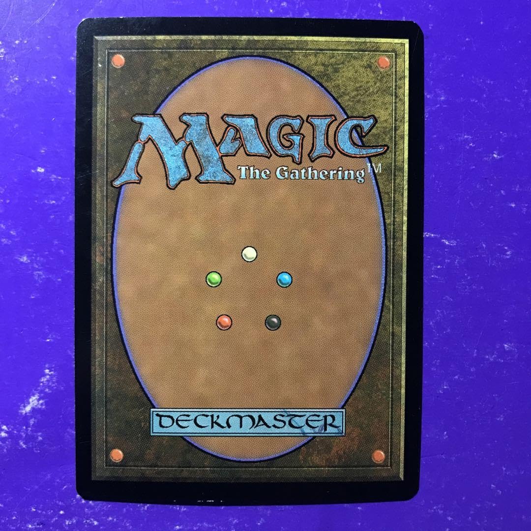 Amazon.co.jp: MTG Foil西の聖騎士Western Paladin JP : おもちゃ