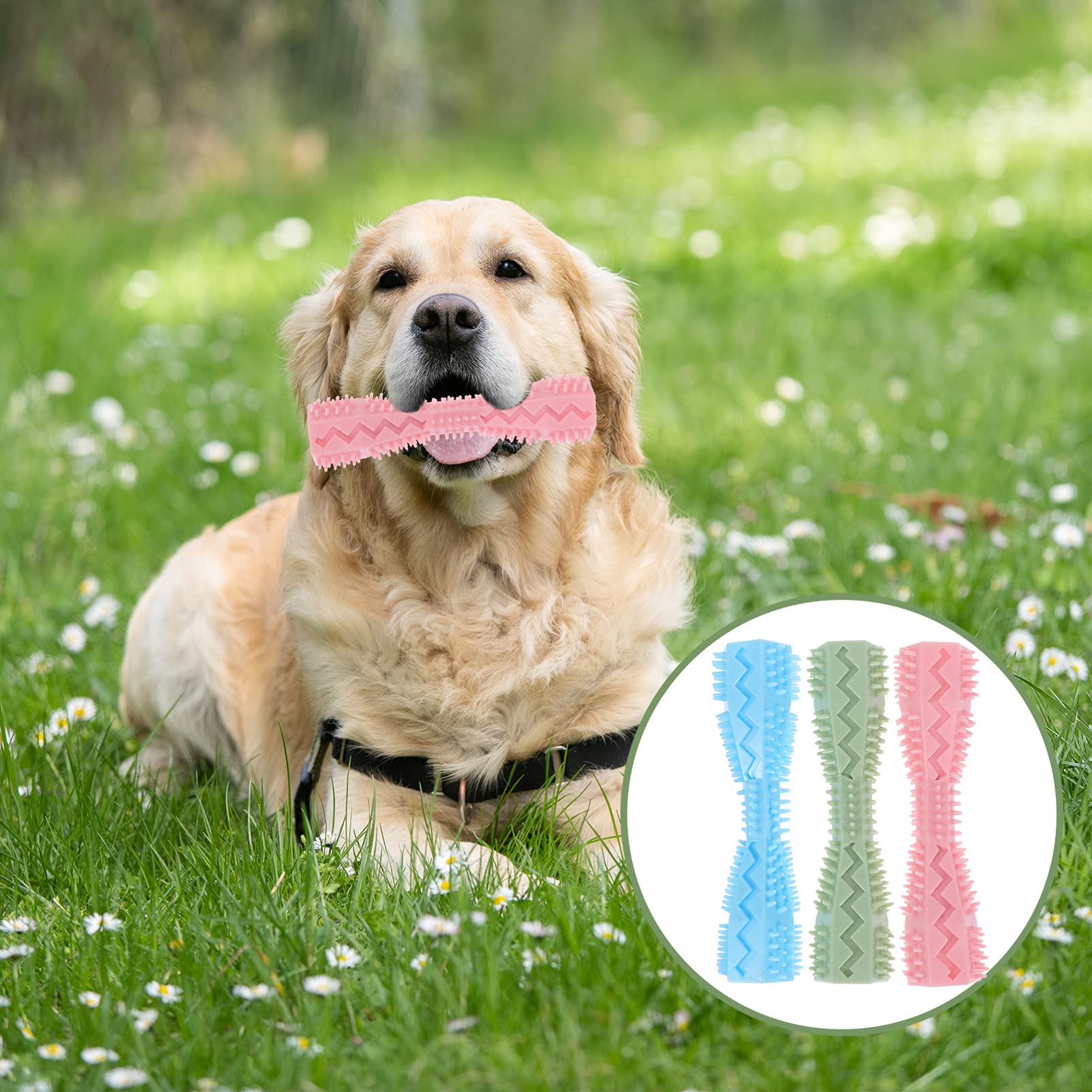 Mipcase 9piezas Juguetes Masticables para Perros De Juguetes para Mascotas Resistentes y Ligeros para Limpiar y Moler Los para Entrenamiento De Perros