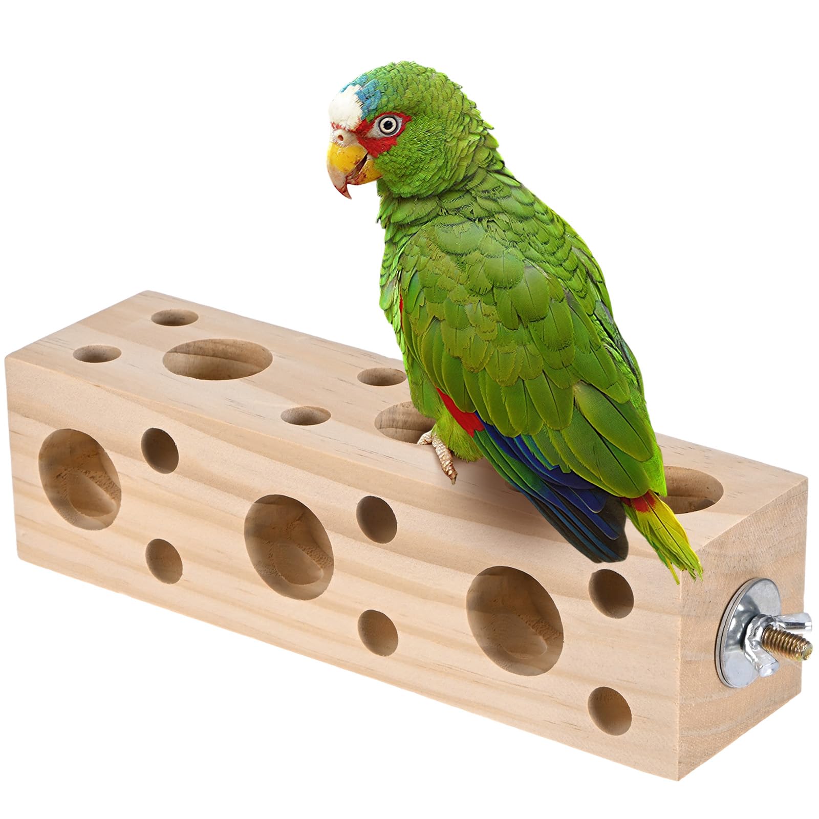 Jouet à mâcher pour oiseaux : animez la cage de vos perruches au quotidien