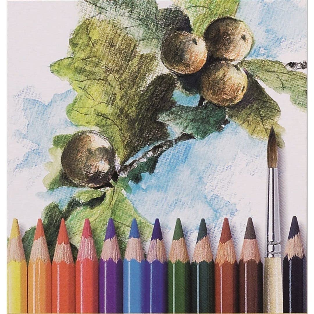 Amazon.co.jp: KOH-I-NOOR(コヒノール) セット 水彩画 色鉛筆 3718 24