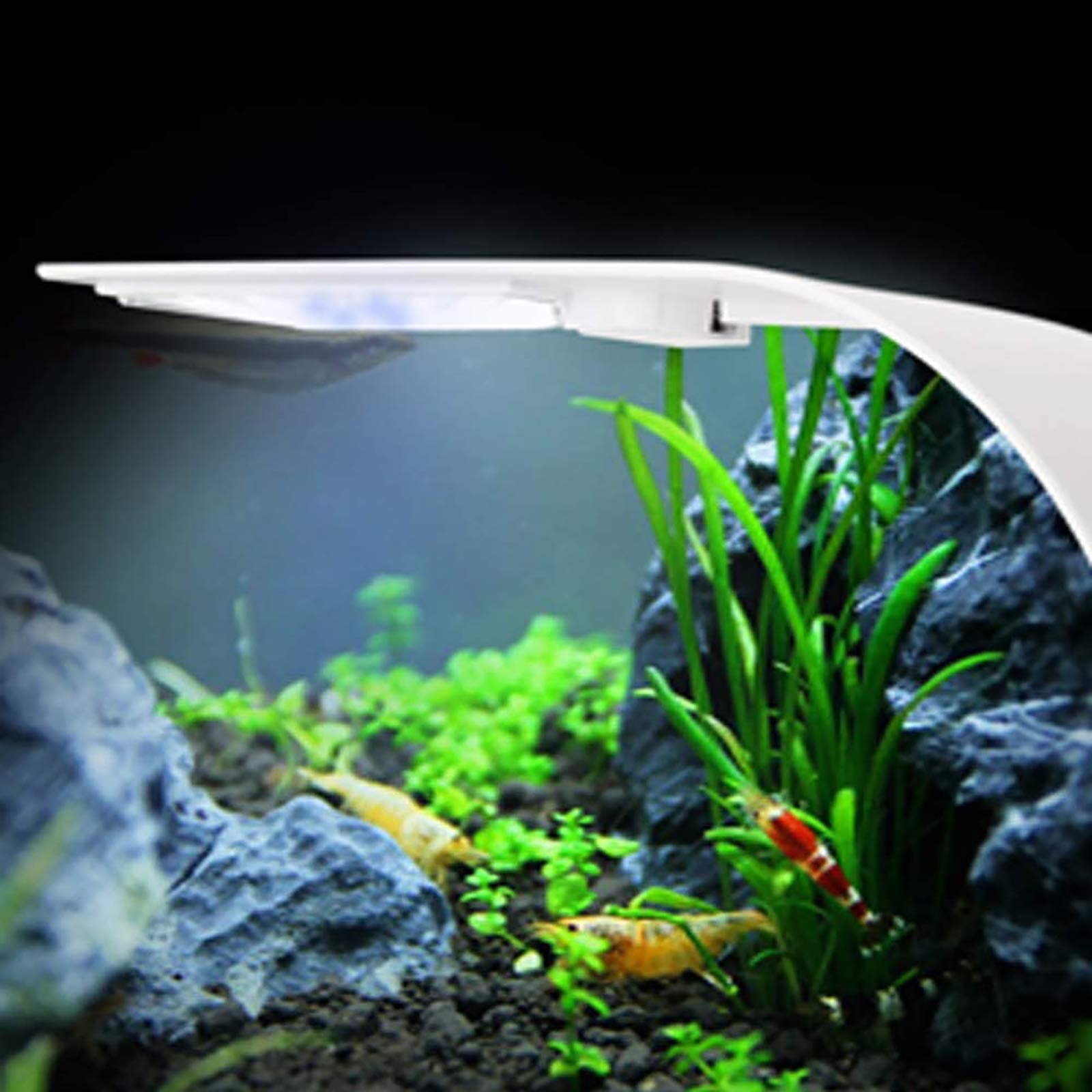 Seven Master Acuario Clip-On LED Light Clamp Fish Tank Light 